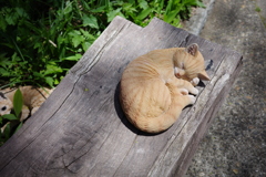 清里 萌木の村