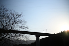 NZF_1086