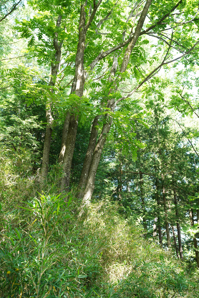 7R301351
