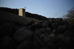 NZF_1111