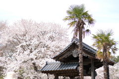 DSCF0026