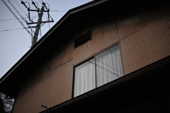NZF_1147