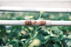 FUJIFILM_X-T5_11366400-11401677089