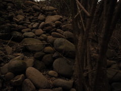 OM030393