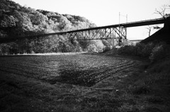 GR991095