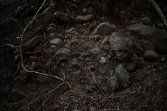 NZF_1089