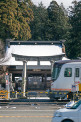 写真判定