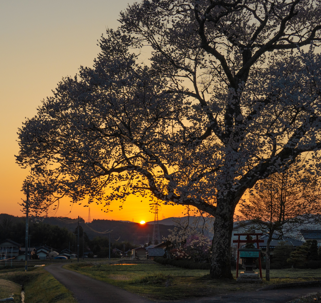 恵那の夕日