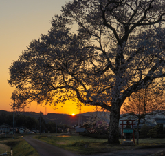 恵那の夕日
