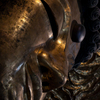 尊