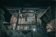 永養寺の桜 2