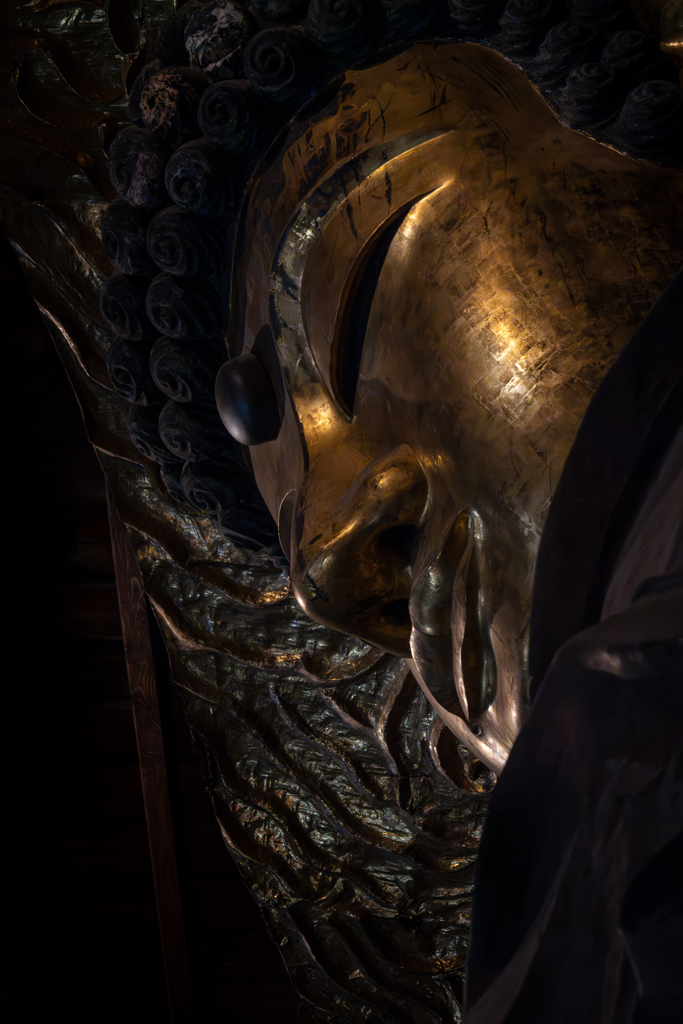 尊