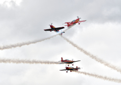 Royal Jordanian Falcons