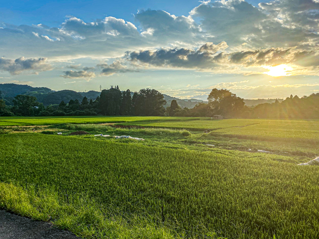 金沢の山