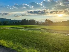 金沢の山