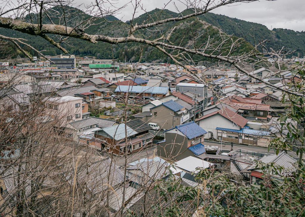 筋骨巡り - 鎮守山からの眺め