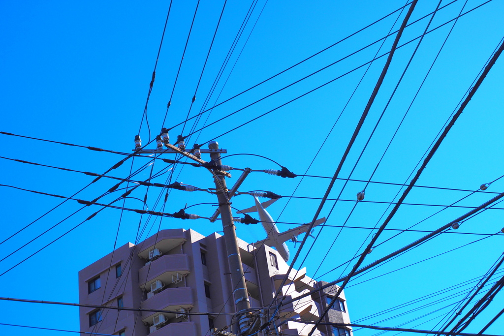 網を抜けて