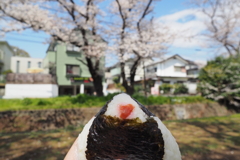 朝から場所取り