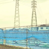 二株