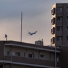 マンションの向こうから