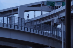 分岐