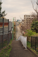 横浜の坂