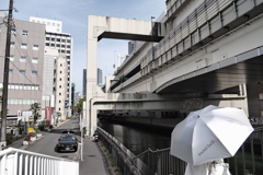 白と黒