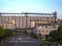 巨大な壁