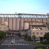 巨大な壁