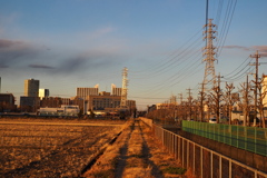 鉄塔とあぜ道と都市