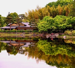 新緑の庭園