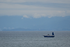 海釣