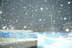 関東の雪
