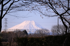 所沢の富士山