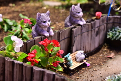 花壇に隠れてた
