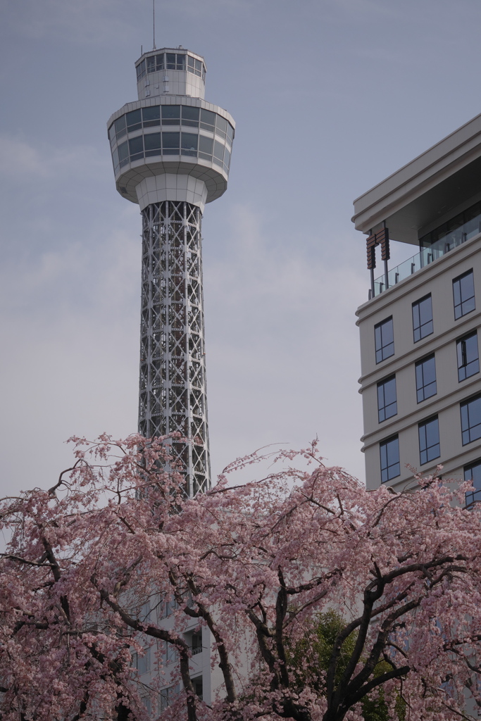 3月の横浜マリンタワー