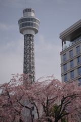 3月の横浜マリンタワー