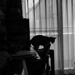 ここ、日が陰ったな。