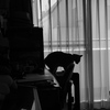 ここ、日が陰ったな。