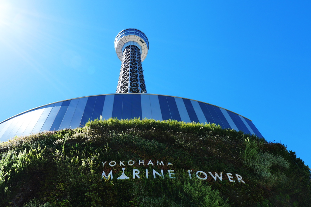 輝くマリンタワー2023年