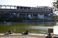 何か釣れたようだ