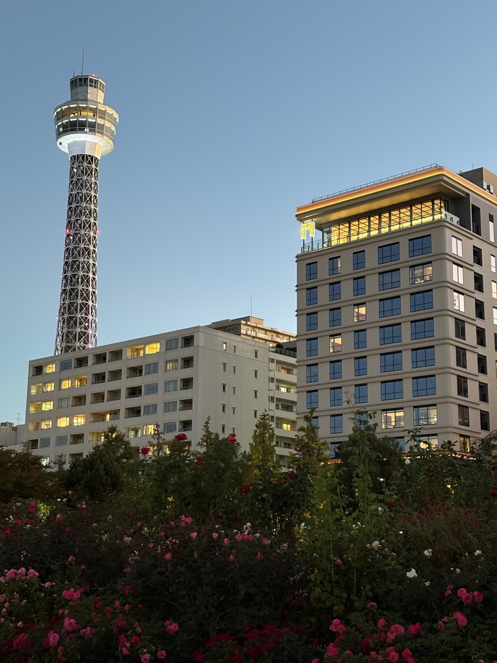 11月のマリンタワー