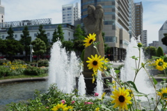 山下公園にひまわり夏