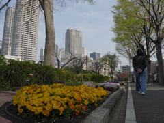 春の散歩道