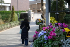 冬にも鮮やかな花が