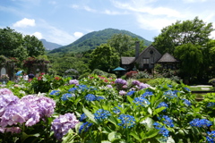 箱根ガラスの森_風景2020