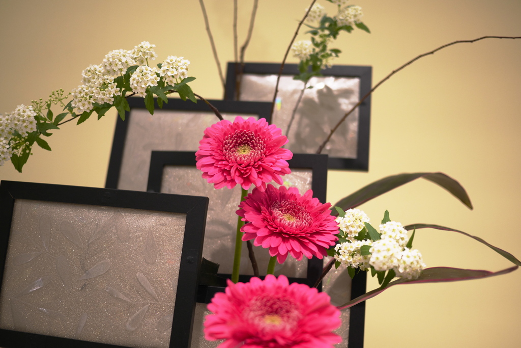 花展の花5