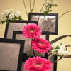 花展の花5