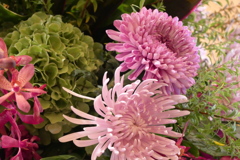 ホテルロビーの花