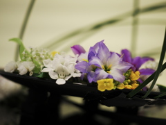 花展の花4